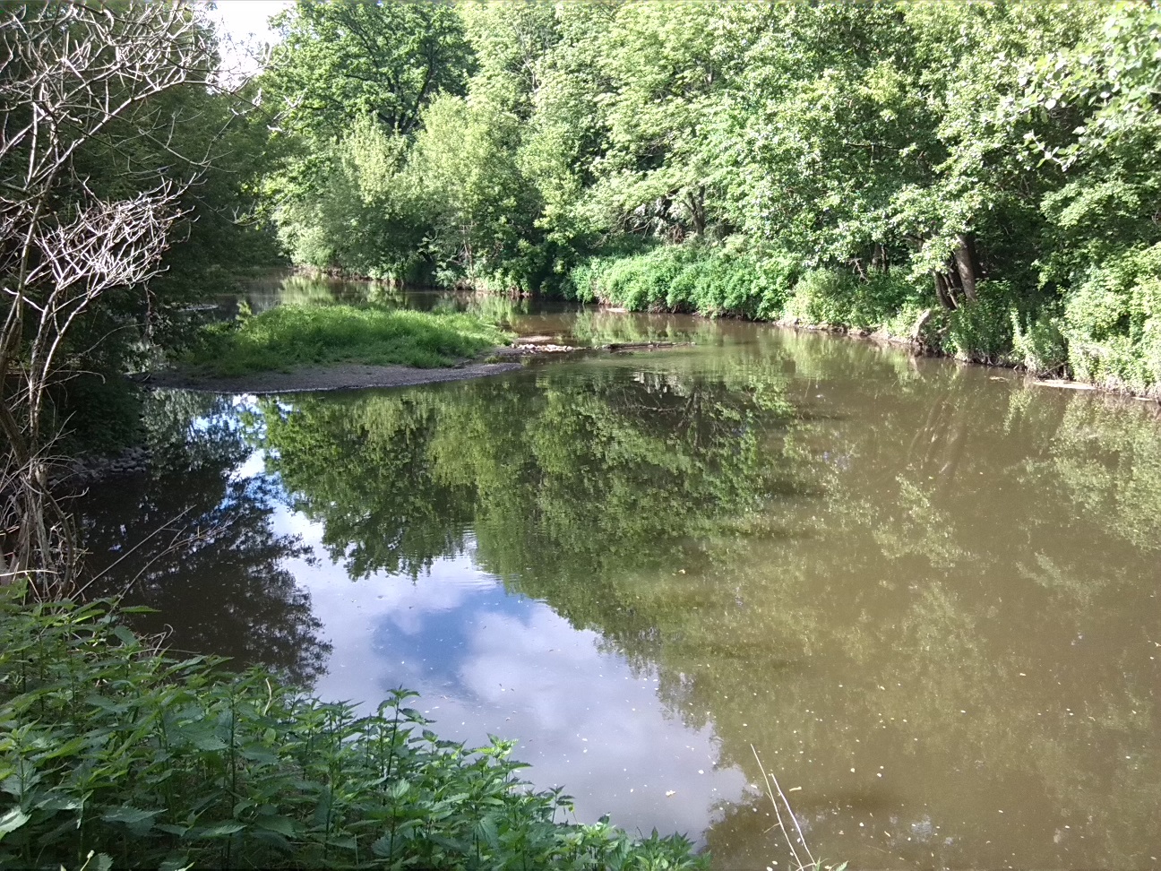 11a-Sandanger Verschüttete Wilde Saale Blick Von Westlich Der Schafbrücke Wilde-Saale Flussabwärts & Zum Gimritzer Park Nach Norden (1)