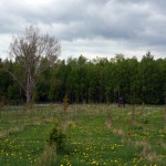 12-Halle Verbindungsweg Zwischen Kanena Gutsweg & Bruckdorf Gießerstraße Blick Nach Südwesten