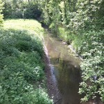 12a-Köthen Blick Von Brücke Dessauer Straße Auf Ziethe Flussabwärts Nach Westen (2)