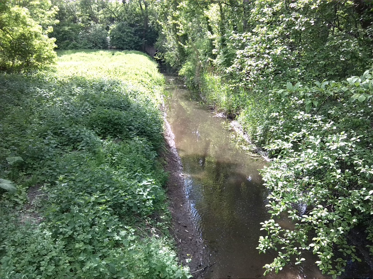 12a-Köthen Blick Von Brücke Dessauer Straße Auf Ziethe Flussabwärts Nach Westen (2)