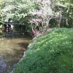 12a-Sandanger Blick Wilde-Saale Flussaufwärts Nach Osten Zu Schafbrücke & Verschüttete Verbindung Wilde-Saale & Elisabethsaale (2)