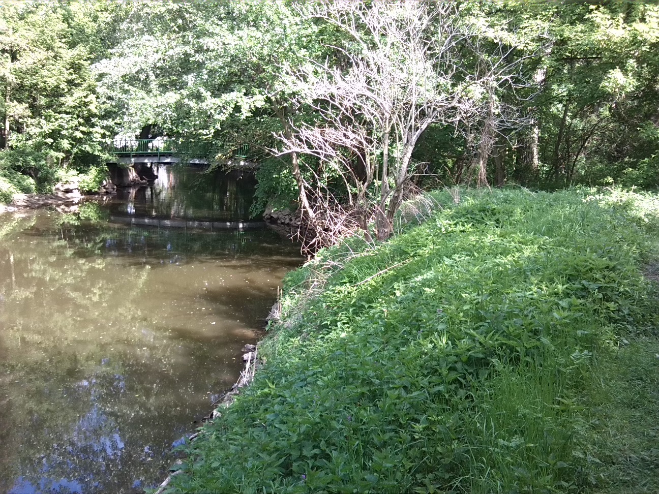 12a-Sandanger Blick Wilde-Saale Flussaufwärts Nach Osten Zu Schafbrücke & Verschüttete Verbindung Wilde-Saale & Elisabethsaale (2)