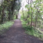 13-Westweg Blick Nach Süden Zu Bogenbrücke (1)