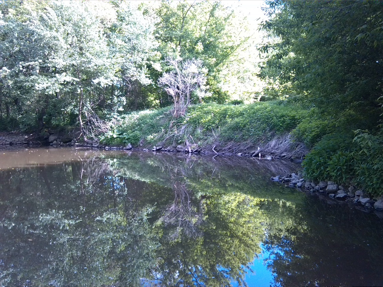 13a-Insel In Wilder-Saale Zwischen Peißnitz & Sandanger Blick Nach Süden Zu Verschütteter Verbindung Zu Elisabethsaale (1)