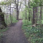 14-Westweg Blick Nach Norden Zu Absperrungen Am Übergang Zu Mittelteil NSG Forstwerder (1)