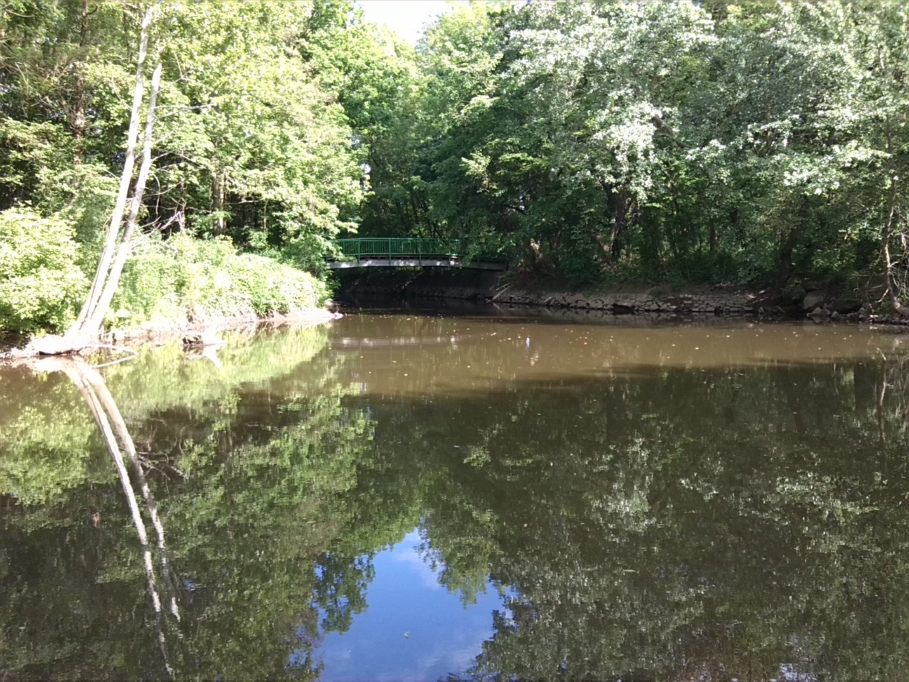 14a-Insel In Wilder-Saale Zwischen Peißnitz & Sandanger Blick Nach Osten & Südosten Schafbrücke & Südostufer Verschüttete Verbindung Elisabethsaale (1)