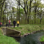 15-Dieskauer Park Überlauf Reide