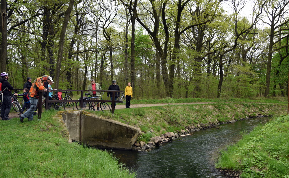 15-Dieskauer Park Überlauf Reide
