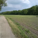 15a-Köthen Altköthen Blick Von Dessauer Straße B185 Nach Südosten Zu Acker & Ziethe & Nordrand Ziethe Busch (1)