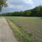 15a-Köthen Altköthen Blick Von Dessauer Straße B185 Nach Südosten Zu Acker & Ziethe & Nordrand Ziethe Busch (1)