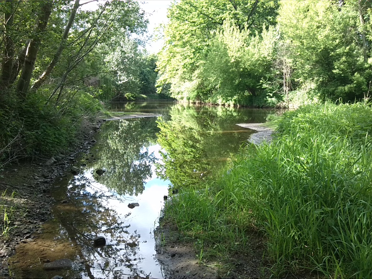 16a-Insel In Wilder-Saale Zwischen Peißnitz & Sandanger Blick Nach Norden Flußabwärts & Zum Gimritzer Park (2)