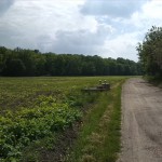 16a-Köthen Altköthen Blick Von Kleingartenanlage Nach Südwesten Zu Acker & Ziethe & Nordrand Ziethe Busch (1)