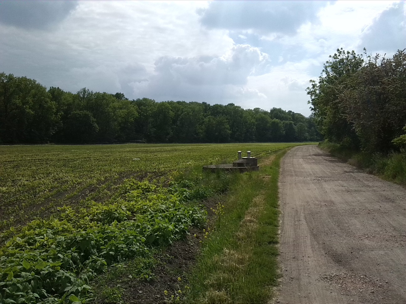 16a-Köthen Altköthen Blick Von Kleingartenanlage Nach Südwesten Zu Acker & Ziethe & Nordrand Ziethe Busch (1)