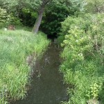 17a-Köthen Zwischen Güterseeweg & Ratswall Blick Von Brücke Ziethe Flussaufwärts Nach Nordosten (1)