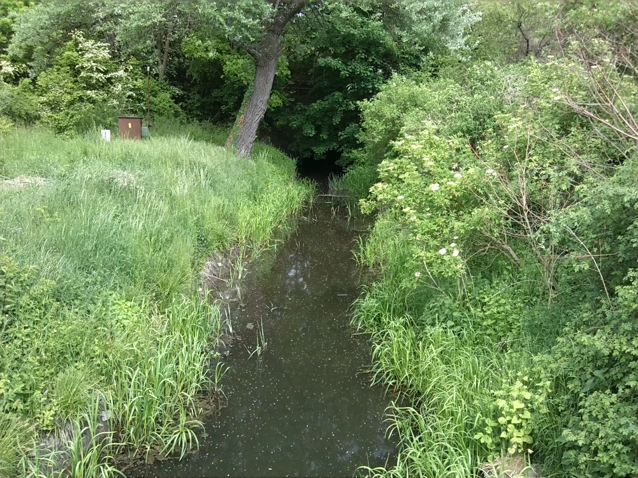 17a-Köthen Zwischen Güterseeweg & Ratswall Blick Von Brücke Ziethe Flussaufwärts Nach Nordosten (1)
