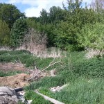 17a-Sandanger Sportplatz Blick Entlang Verschüttete Verbindung Wilde-Saale & Elisabethsaale Nach Nordosten In Richtung Wilde-Saale (1)