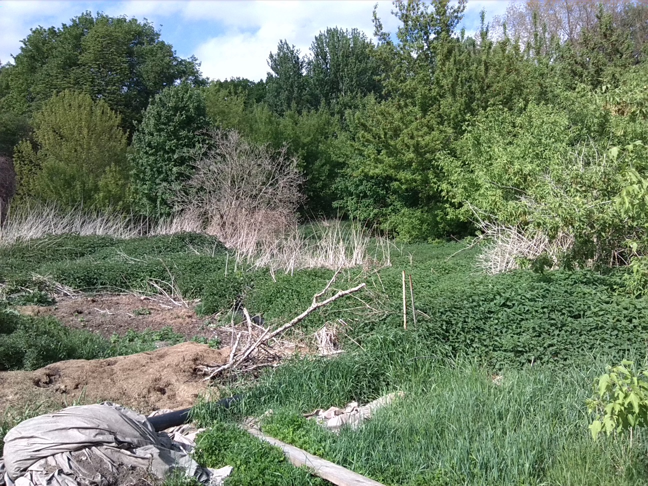 17a-Sandanger Sportplatz Blick Entlang Verschüttete Verbindung Wilde-Saale & Elisabethsaale Nach Nordosten In Richtung Wilde-Saale (1)