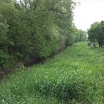 18a-Köthen Zwischen Güterseeweg & Ratswall Blick Von Brücke Ziethe Flussabwärts Nach Südwesten (1)