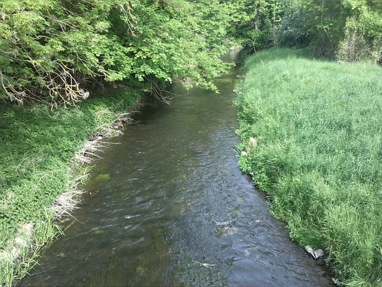 1a-Bernburg Brücke Zwischen Parkstraße & Teichweg BlickA uf Fuhne Flußabwärts Nach Nordwesten