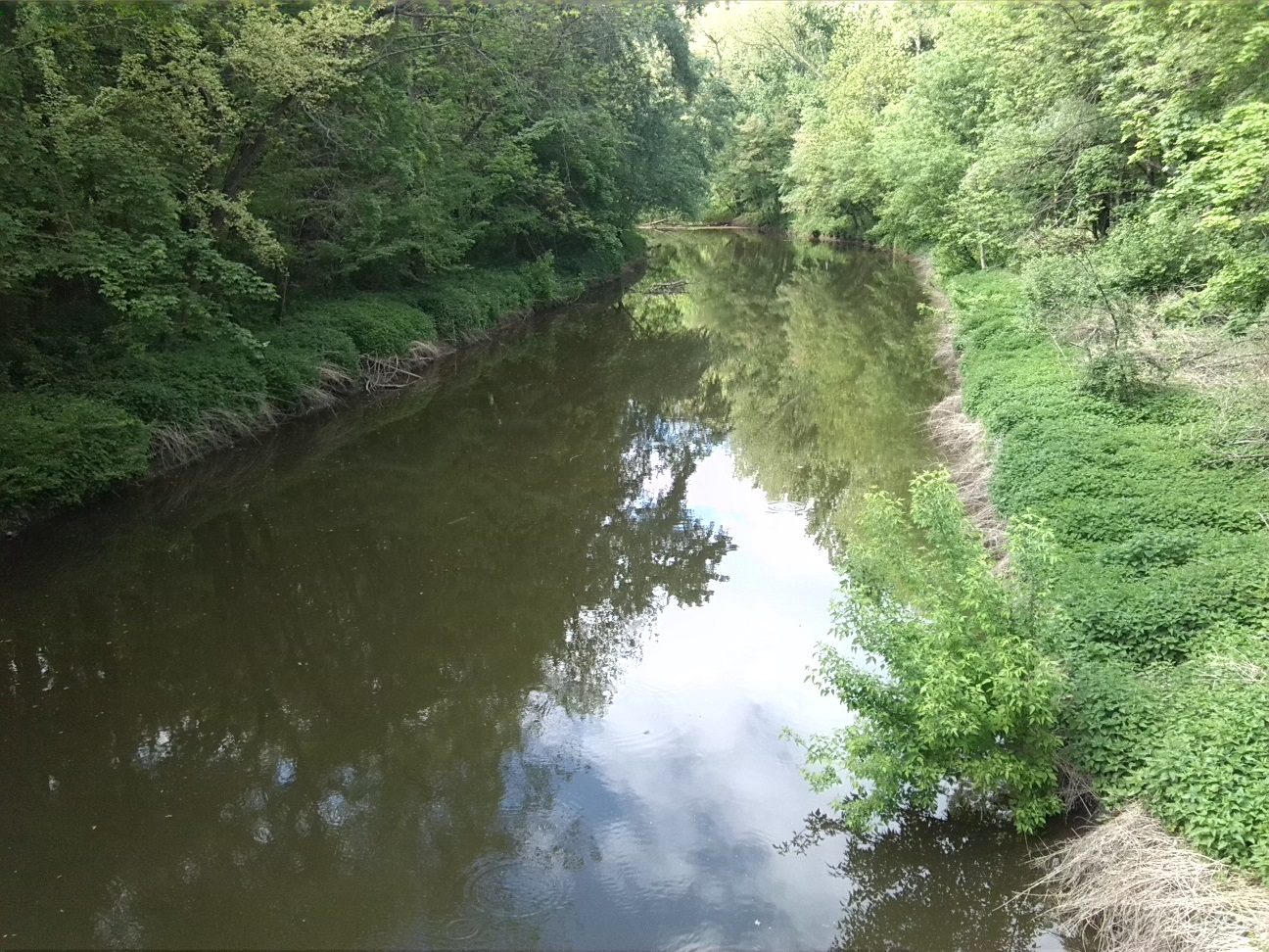 1a-Peißnitz Blick Von Brücke An Der Wilden Saale auf Wilde Saale Flussabwärts Nach Nordwesten (1)