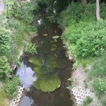 20a-Köthen Brücke Maxdorfer Straße Blick Ziethe Flussaufwärts Nach Nordosten (2)