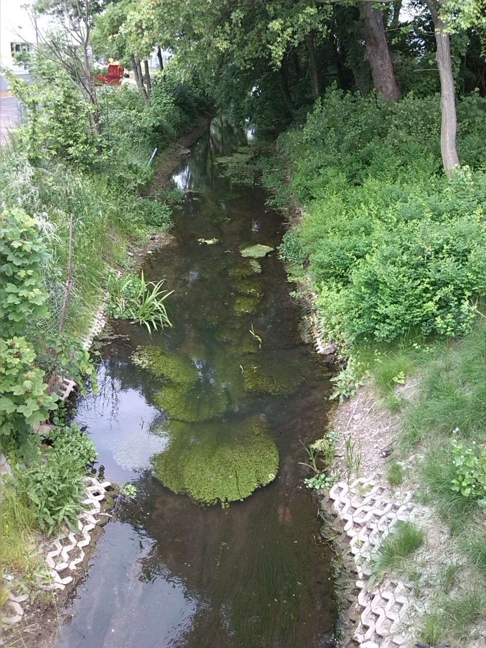 20a-Köthen Brücke Maxdorfer Straße Blick Ziethe Flussaufwärts Nach Nordosten (2)