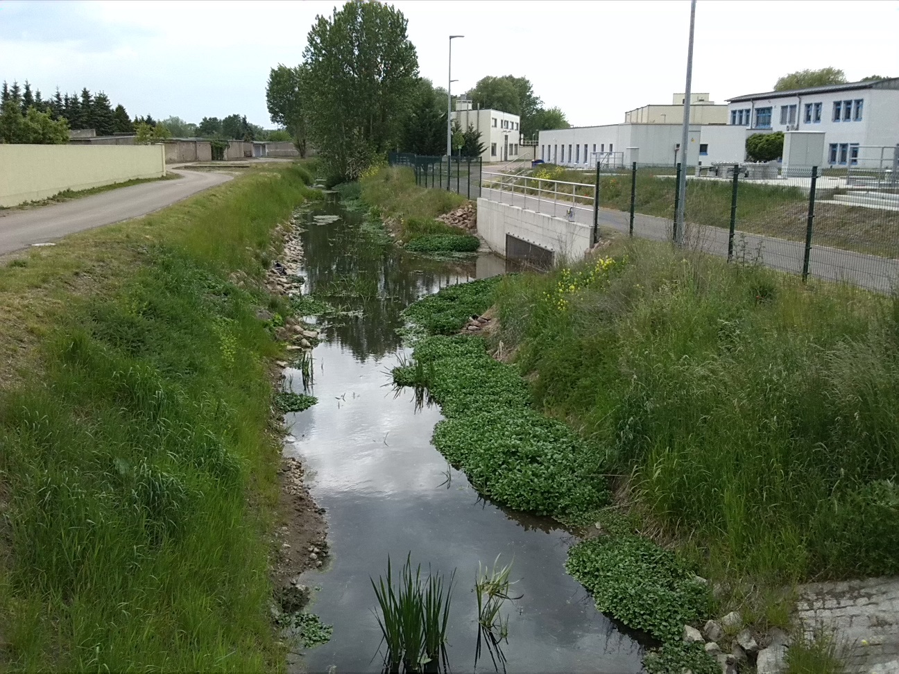 21a-Köthen Brücke Maxdorfer Straße Blick Ziethe Flussabwärts Nach Südwesten & Westen & Zum Klärwerk (1)