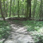 22-Verbindungsweg Zwischen Ecke Mittel-& Ostweg Zu Weg Am Schleusengraben Blick Von Nordosten Nach Südwesten (2)