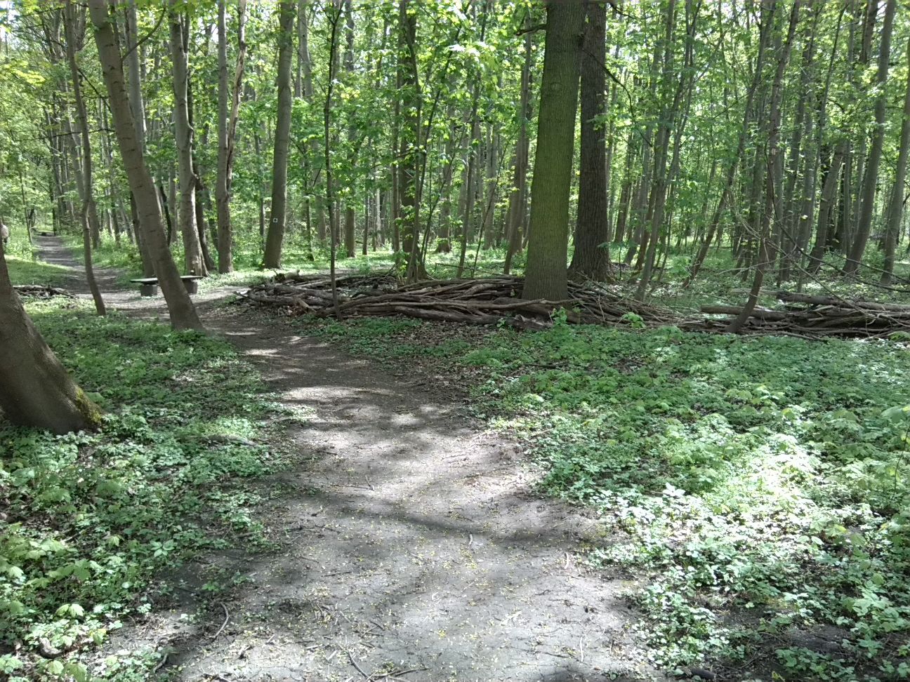 22-Verbindungsweg Zwischen Ecke Mittel-& Ostweg Zu Weg Am Schleusengraben Blick Von Nordosten Nach Südwesten (2)