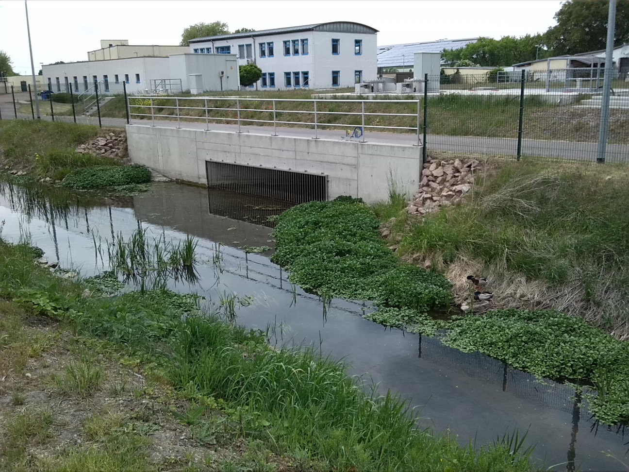 22a-Köthen Brücke Maxdorfer Straße Blick Ziethe Flussabwärts Nach Nordwesten & Zum Klärwerk (1)