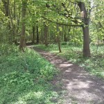 24-Verbindungsweg Zwischen Ecke Mittel-& Ostweg Zu Weg Am Schleusengraben Blick Von Nordosten Nach Südwesten (1)