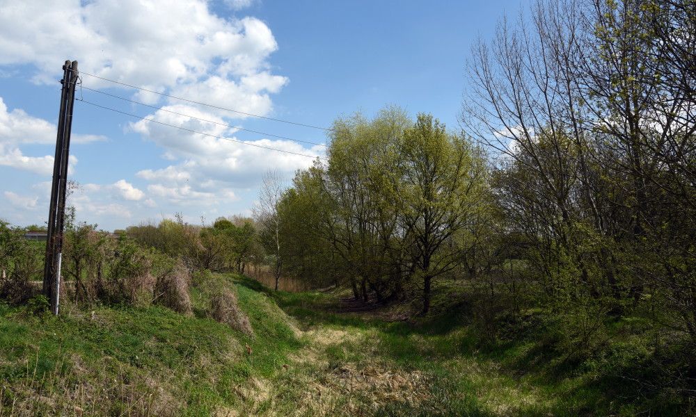 25-Raßnitz Altarmweiße Elster Blick Nach Osten
