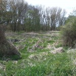 26-Blick Vom Weg Am Schleusengraben In Mittelteil Nach Nordwesten (2)