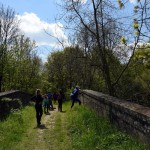 26-Raßnitz Brücke Über Altarmweiße Elster Blick Nach Süden