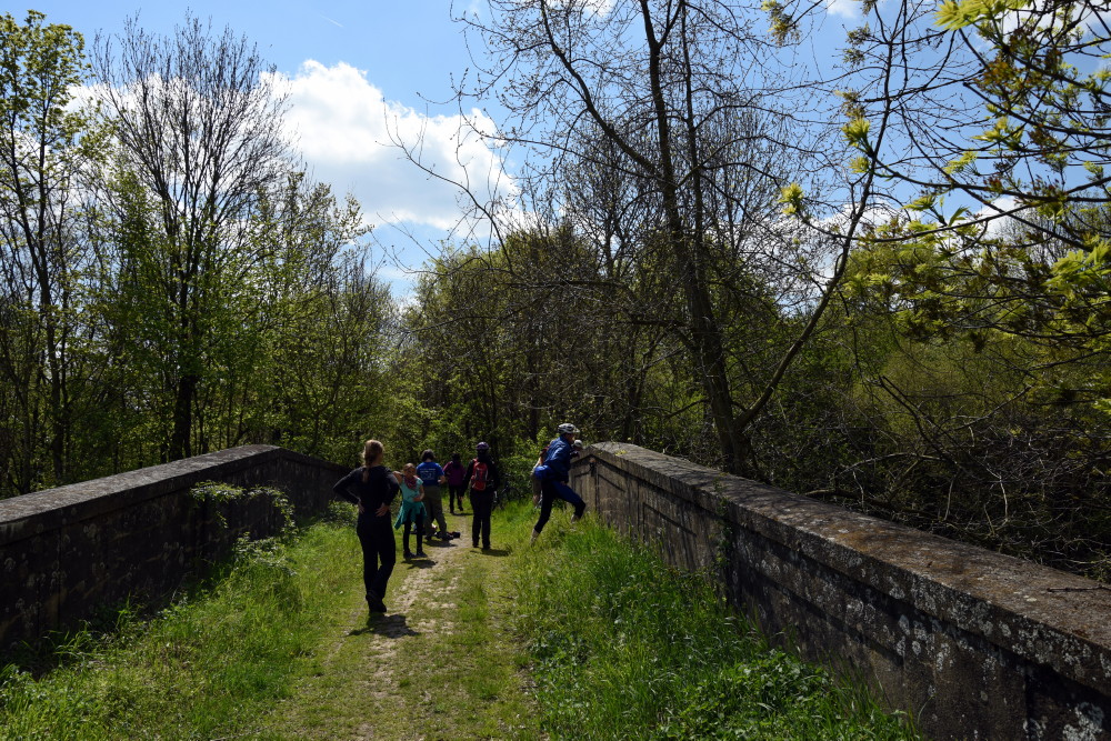 26-Raßnitz Brücke Über Altarmweiße Elster Blick Nach Süden