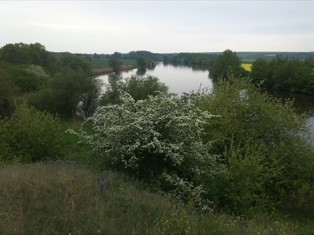 2a-Blick Felsen Westlich Lauchenberge Südwestlich Müchel Über Saaletal Nach Süden In Richtung Döblitz  (3)