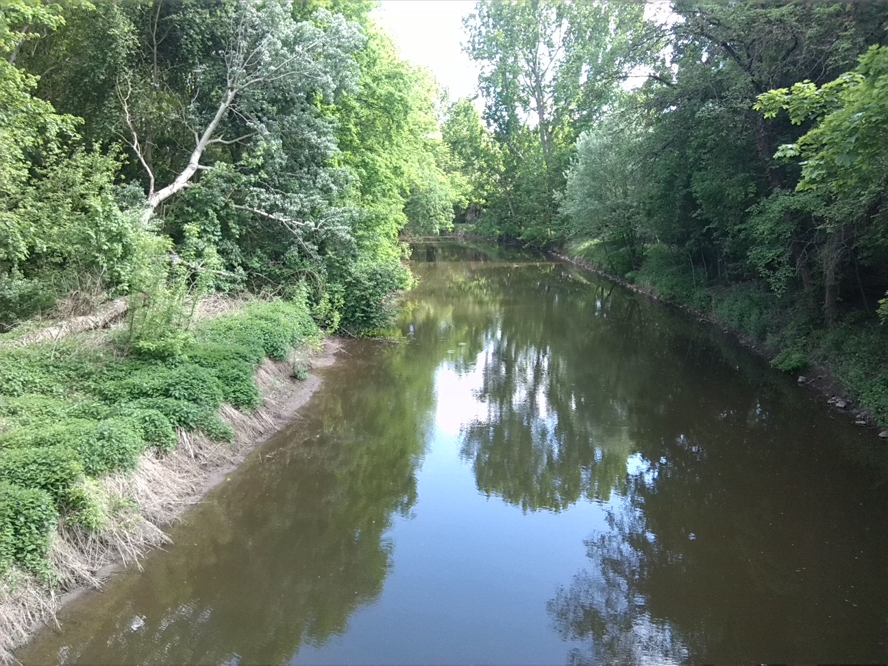 2a-Peißnitz Blick Von Brücke An Der Wilden Saale auf Wilde Saale Flussaufwärts Nach Südosten (1)