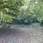 30a-Großpaschleben Zentralteil Park Am Wasserschloss Blick Zu Teich Nach Süden (1)