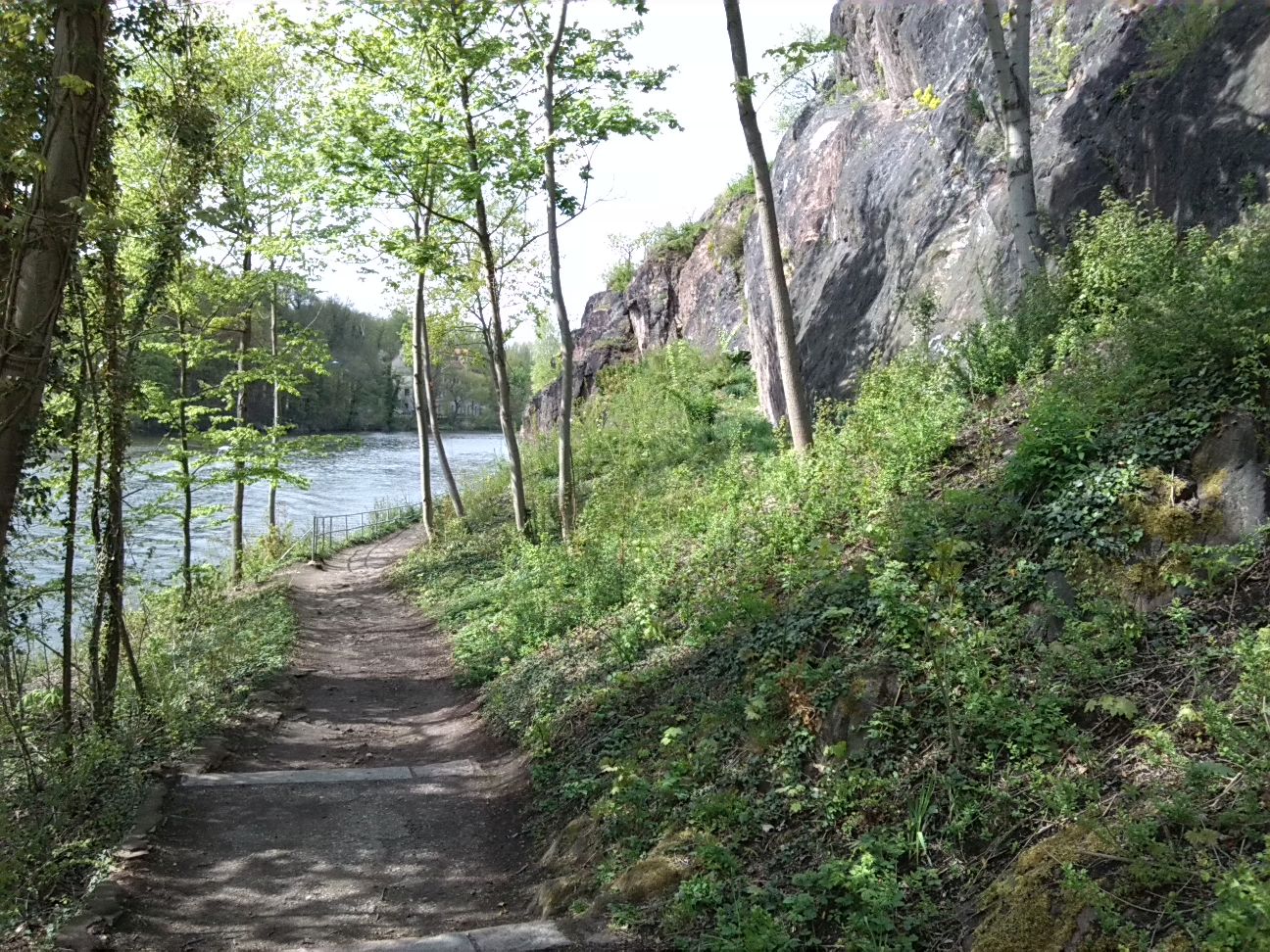 32-Westweg Klausberge An Saale Mit Blick Nach Nordwesten Osten Zu Gehölzjungaufwuchs & Kröllwitz (1)