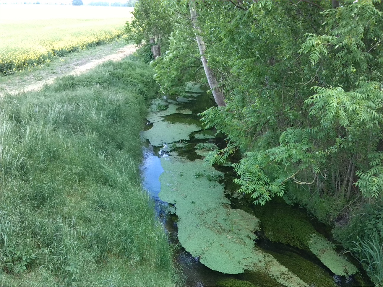 34a-Brücke Verbindungsstraße Zwischen Trinum & Thurau Blick Auf Ziethe Flussaufwärts Nach Südosten (2)