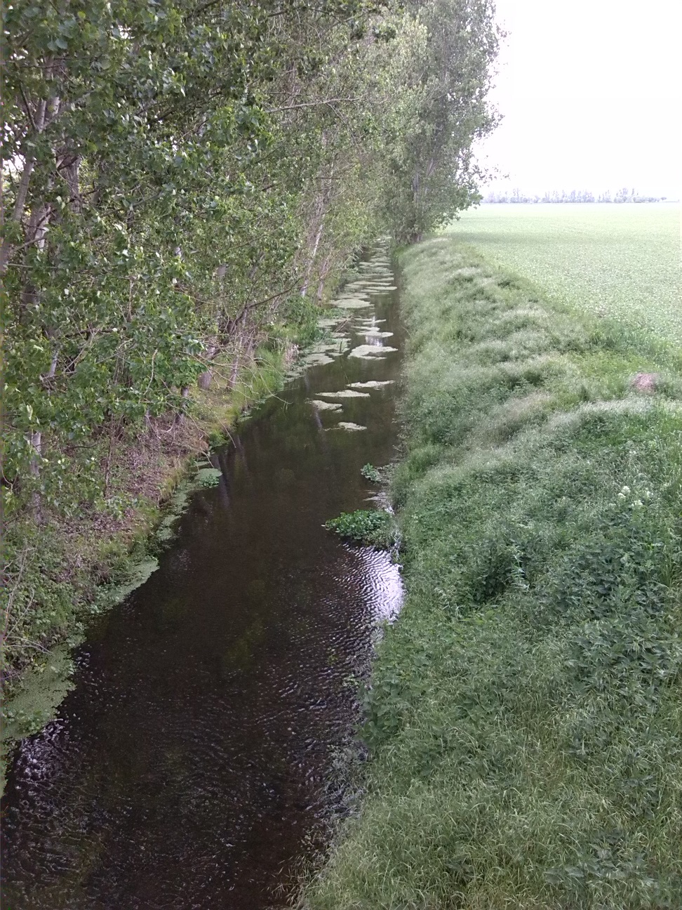 35a-Brücke Verbindungsstraße Zwischen Trinum & Thurau Blick Auf Ziethe Flussabwärts Nach Nordwesten (3)