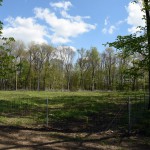 36-Schkeuditz Nessellacher Linie Blick Nach Südosten In Richtung Alte Luppe