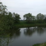 39a-Saalealtarm Am Zinkenbusch Westufer Blick Zum Zinkenbusch Nach Osten (1)