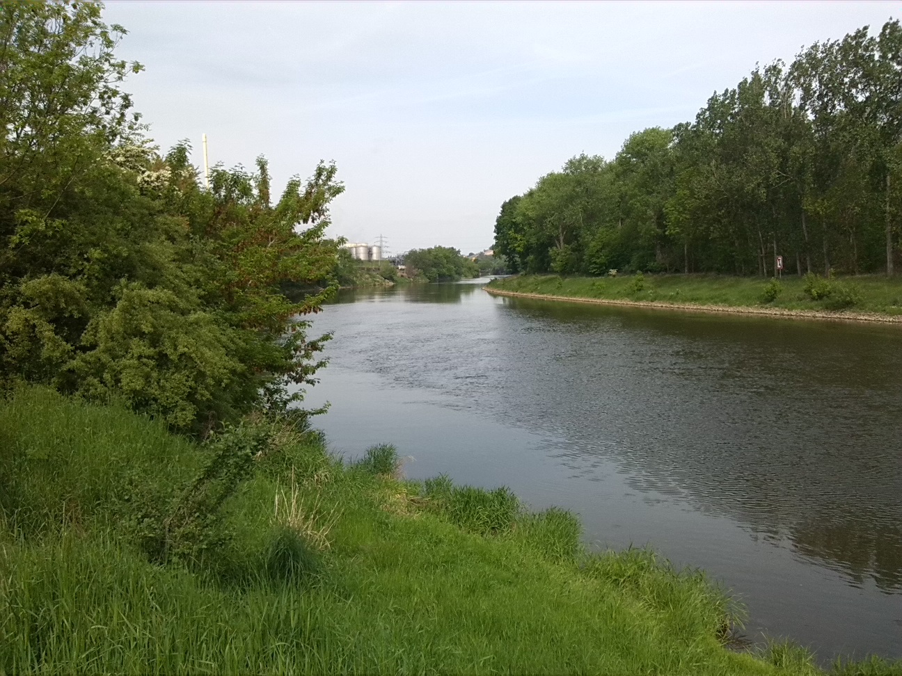 3a-Bernburg Dessauer Straße B185 Südwestlich Dröbel Blick Saale Aufwärts Nach Westen & Nordwesten (1)