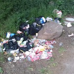 3a-Köthen-Müllablagerung Südrand Ziethe Busch Unweit Abzweig Akazienstraße (1)