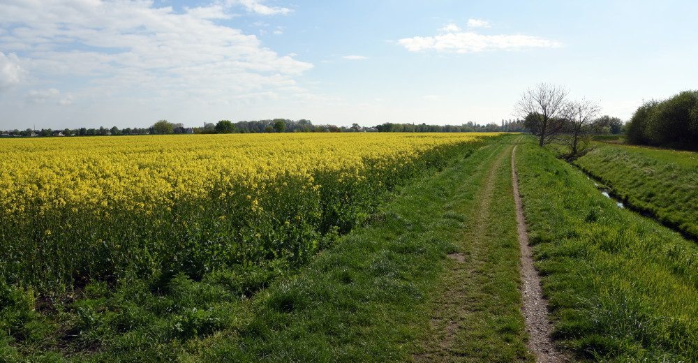 4-Halle Diemitzer Graben Östlich Ecke Reideburger Straße & Bierrain Blick Nach Osten