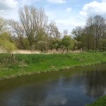 40-Blick Über Schleusengraben Nach Südosten (2)