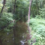 40a-Biendorf Park Blick Zu Ziethe Flussaufwärts Nach Nordosten (2)