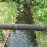 42a-Plömnitz Unweit Ortsausgang Preußlitz Ziethe Flussaufwärts Blick Nach Südosten (2)