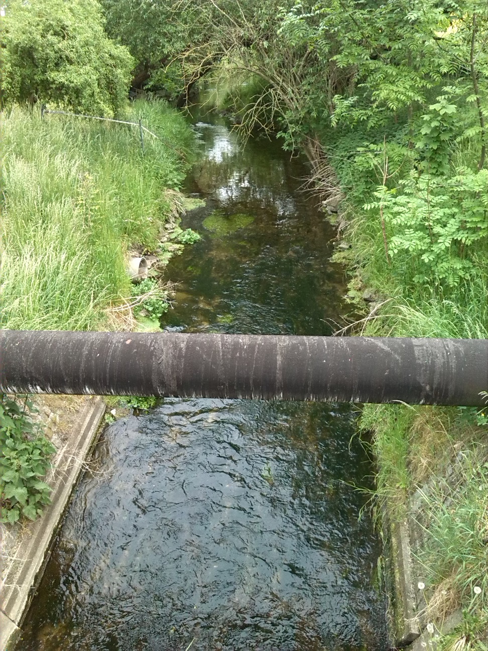 42a-Plömnitz Unweit Ortsausgang Preußlitz Ziethe Flussaufwärts Blick Nach Südosten (2)